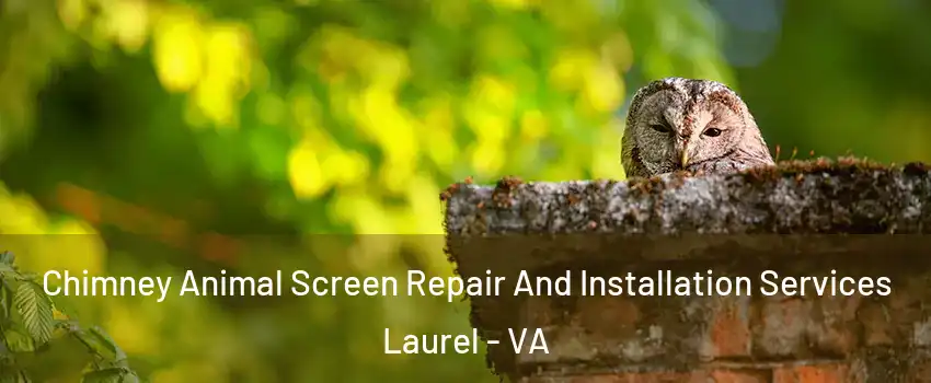  Chimney Animal Screen Repair And Installation Services Laurel - VA