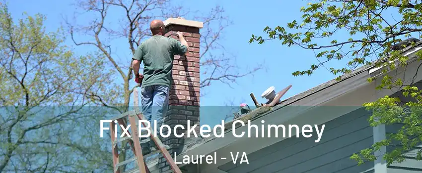  Fix Blocked Chimney Laurel - VA