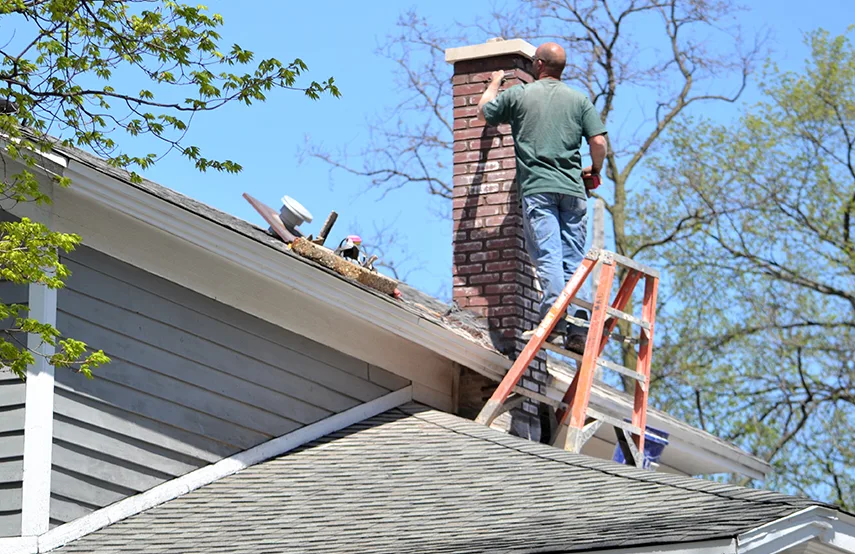 Chimney & Fireplace Inspections Services in Laurel, VA
