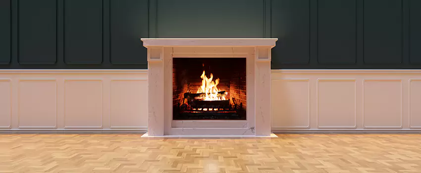 Napoleon Electric Fireplaces Inspection Service in Laurel, Virginia